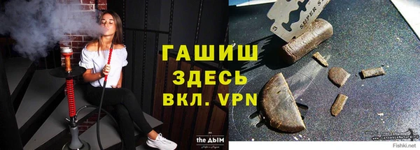 сатива Инта