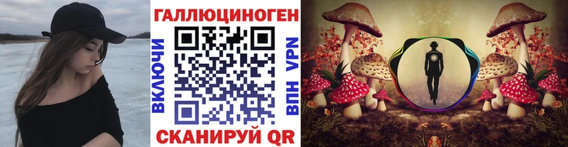 купить   Лысьва  Галлюциногенные грибы Magic Shrooms 